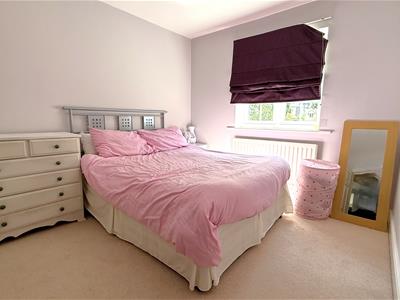 Picture 14
